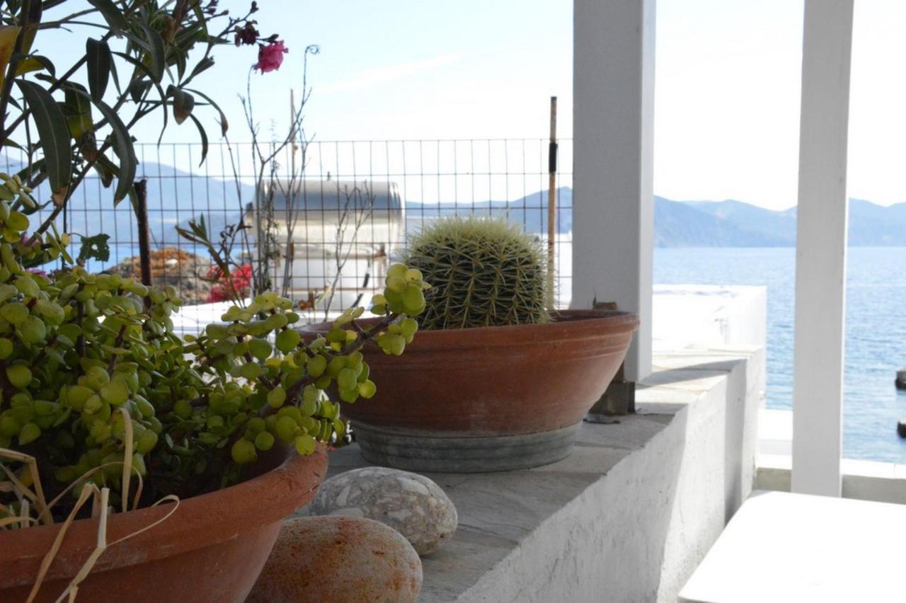 Thalassophile Eco House Villa Plaka  Екстериор снимка